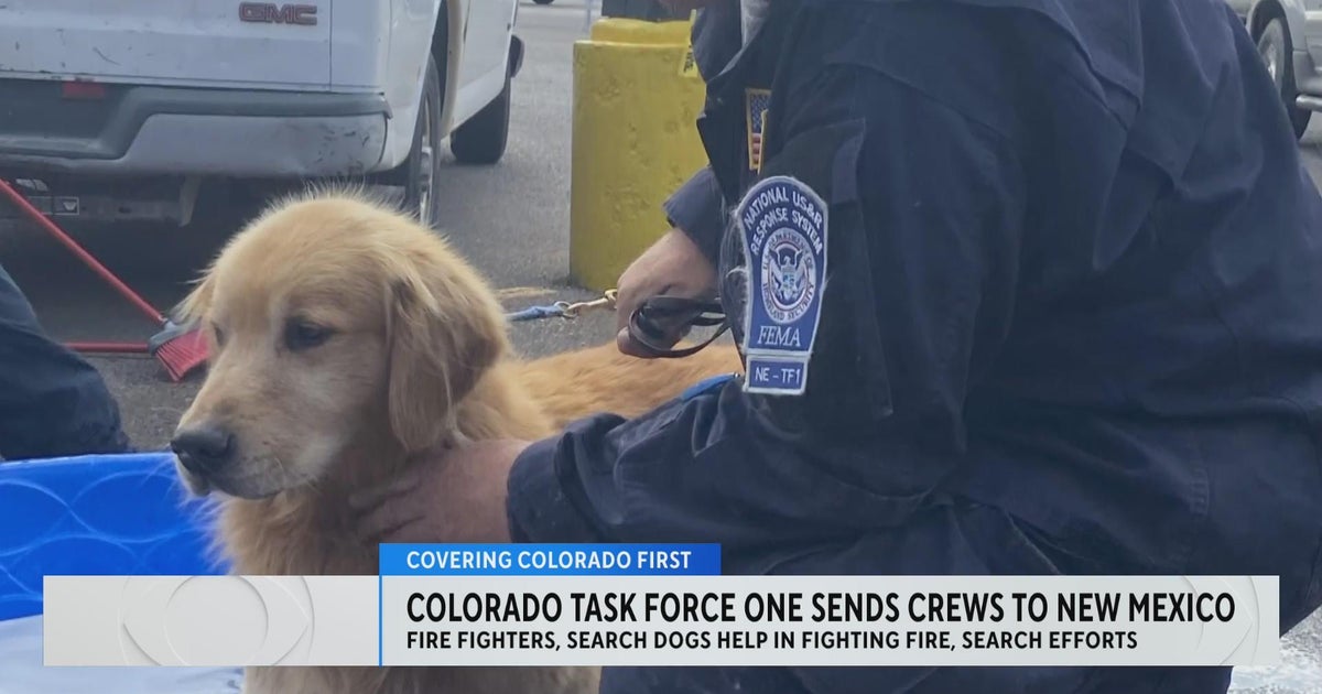 Firefighters and K-9s from Colorado help battle New Mexico wildfires ...