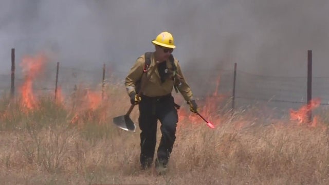 wildland-firefighter.jpg