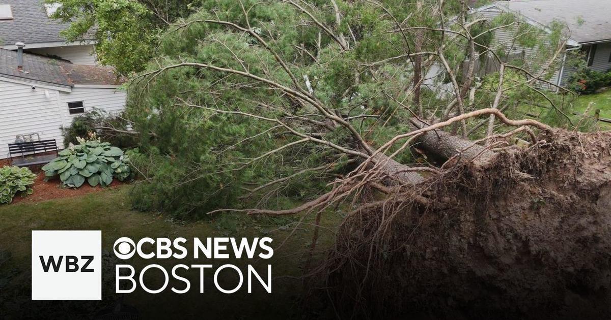 Tornado moved through Rhode Island and Massachusetts, National Weather Service confirms - CBS Boston