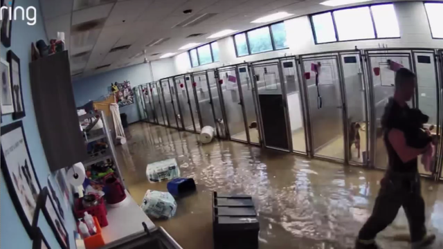 wheeling-animal-shelter-flood.png 