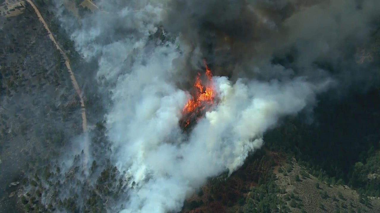 Xcel Energy Proposes $1.9 Billion Wildfire Mitigation Plan Amid Rising Risks