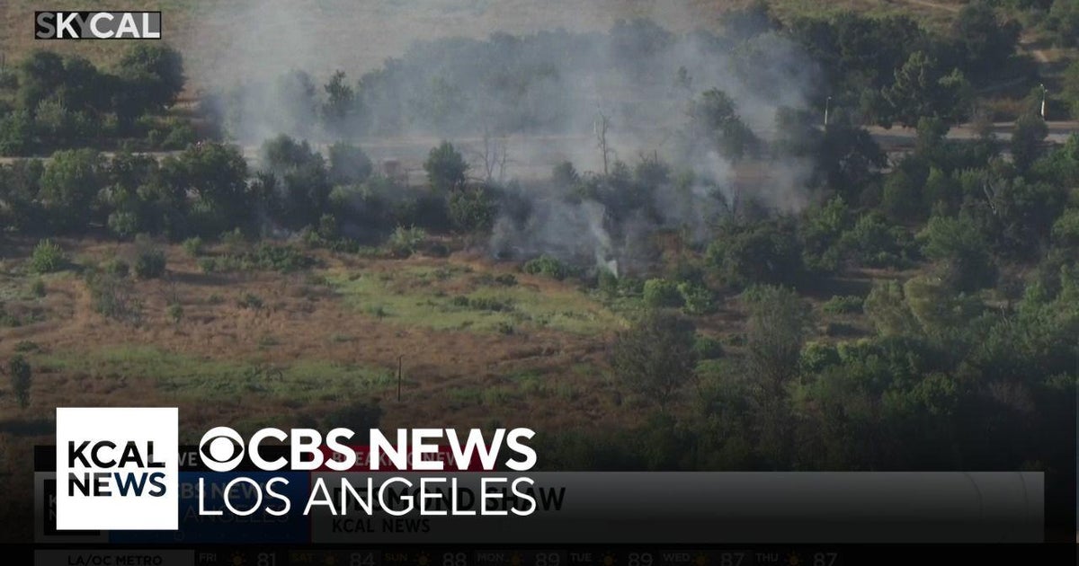 Los Angeles Fire Department crews battle a grass fire in the Sepulveda ...