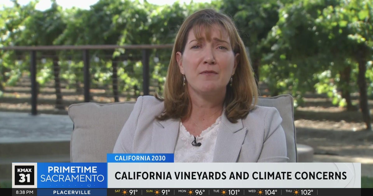 California vineyards and climate concerns | California 2030