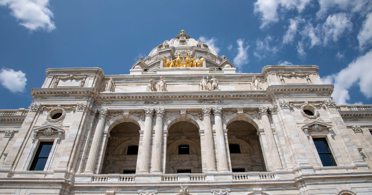 Minnesota Senato Bölgesi 60 için özel seçim
