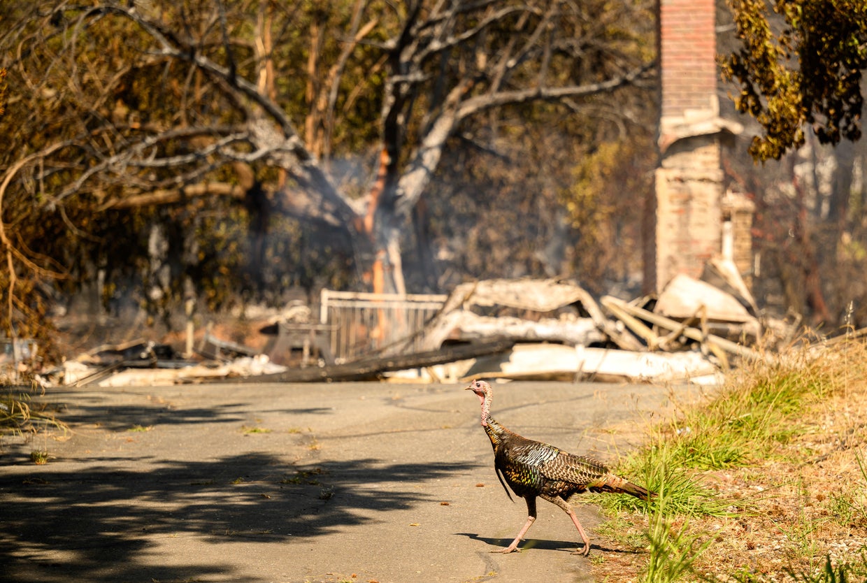 In photos: Thompson Fire in Butte County