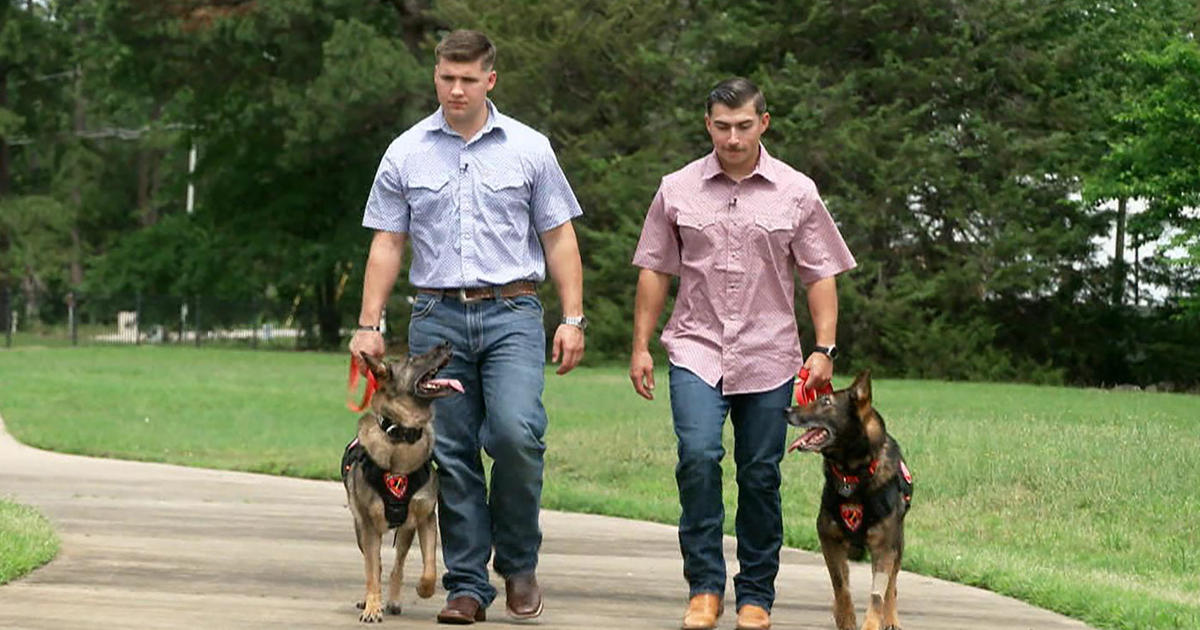 Marines reunite with their beloved service dogs