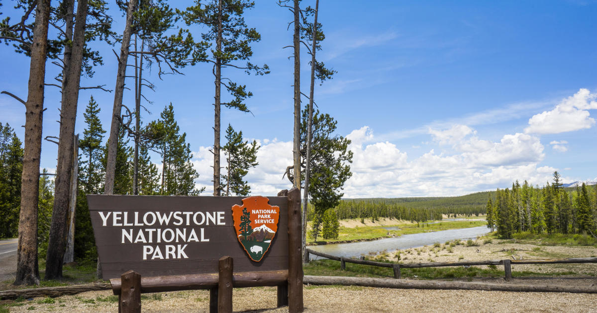 Suspect with gun in Yellowstone National Park dies after shootout with rangers