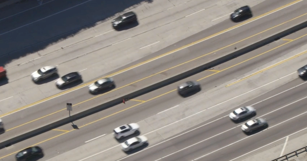 Ein Berglöwe wurde auf der Interstate 405 von einem Auto angefahren und getötet Ein Berglöwe wurde auf der Interstate 405 von einem Auto angefahren und getötet