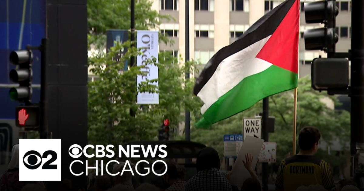 Pro-Palestinian protests continue in Chicago over long weekend