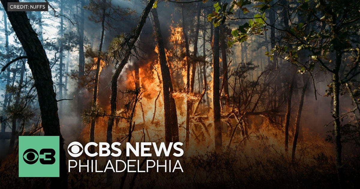 Wharton State Forest wildfire grows but now 60% contained, New Jersey Forest Fire Service says - CBS Philadelphia