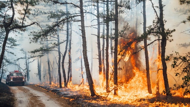 Tea Time Hill Wildfire in New Jersey's Wharton State Forest 