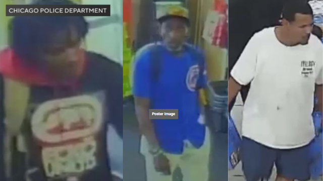 portage park retail theft 