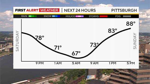 next-24-hours-temp-line-weather-bars-camera-2.png