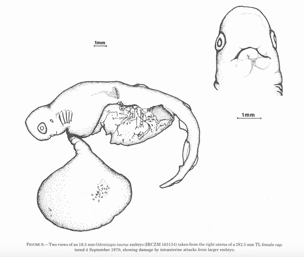 captura de tela-2024-07-08-at-13-19-32-pm.png