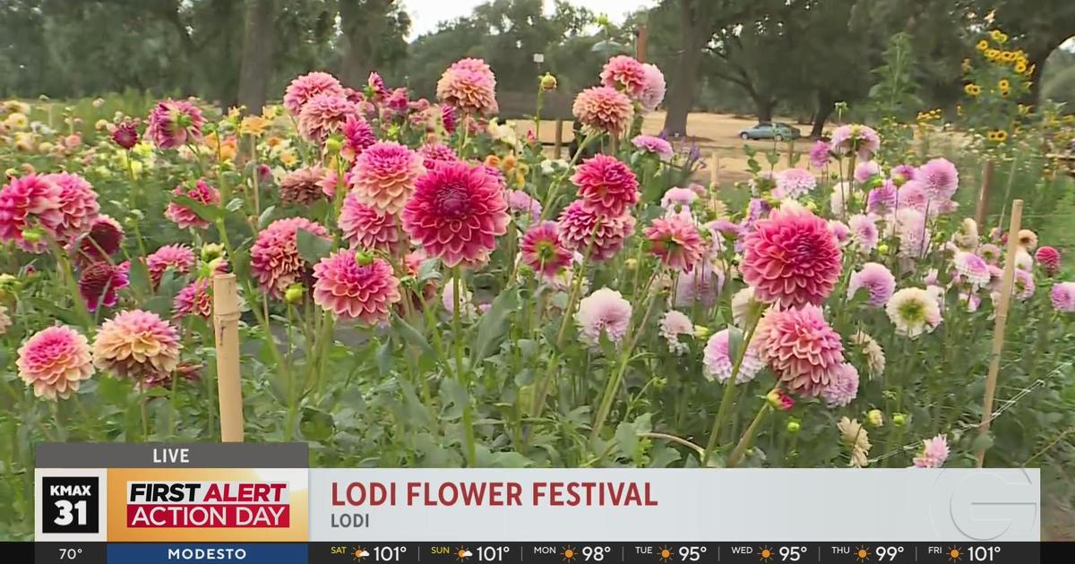 Lodi Flower Festival, 7am - Good Day Sacramento