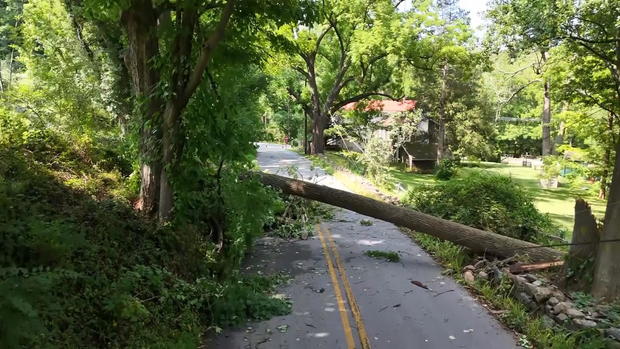Tree blocking Hillsdale Road in West Chester 