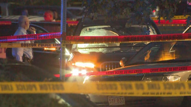 Police officer struck 