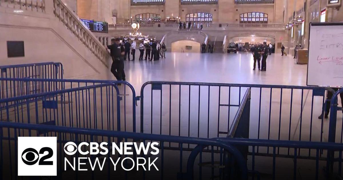 Pro-Palestinian protesters march from Grand Central to Washington ...