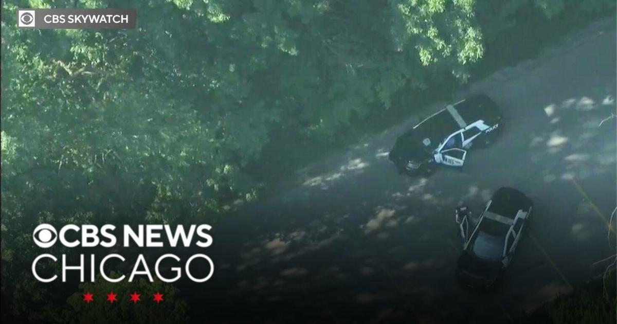 Double shooting in Joliet park - CBS Chicago