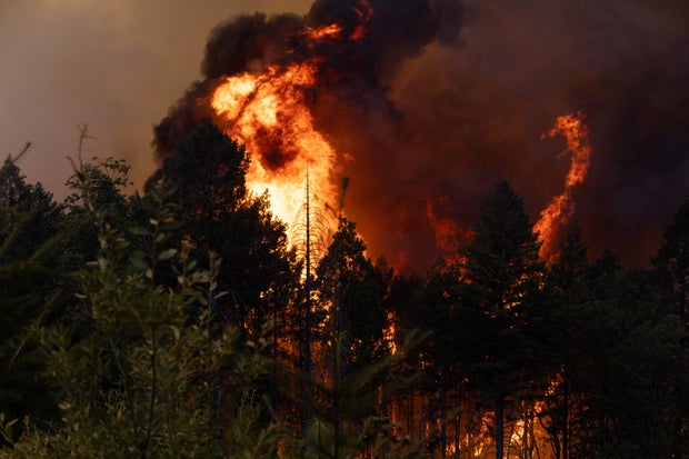 Firefighters Battle The Park Fire In California