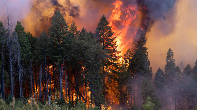 Firefighters Battle The Park Fire In California 