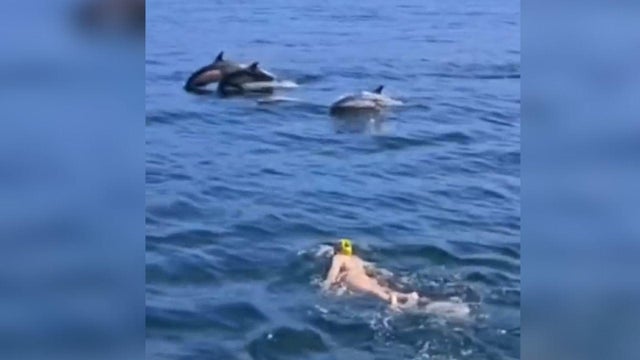 Katie Pumphrey, artist and open water swimmer