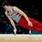 Stephen Nedoroscik, Pommel Horse Guy, competes for Olympic medal