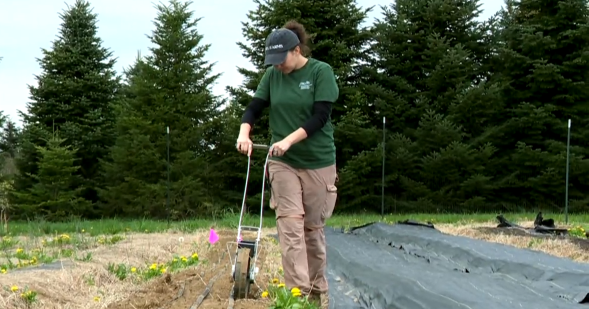 As America's farming population ages, a new program looks to cultivate its next generation