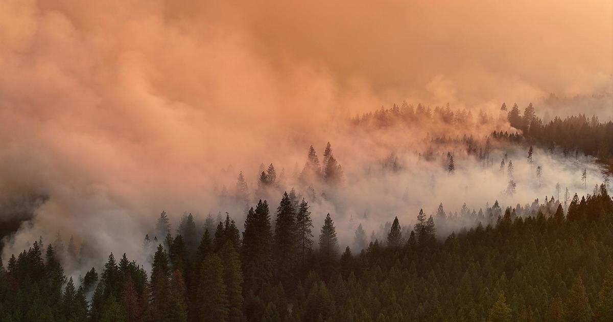 Crews still battling rapidly spreading Park Fire in California