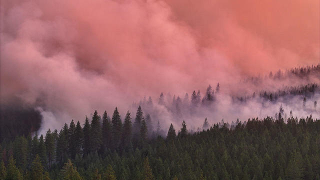 Park Fire: Wildfire has reached almost 400,000 acres in California 