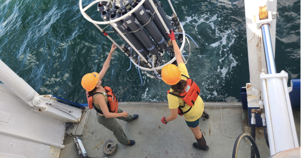 New Jersey-sized "dead zone" that can kill fish and marine life emerges in Gulf of Mexico