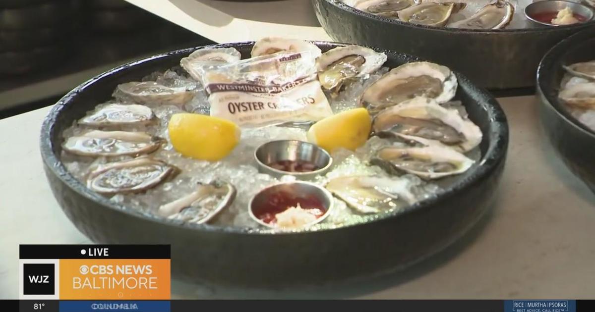 Celebrating National Oyster Day at Rye Street Tavern CBS Baltimore