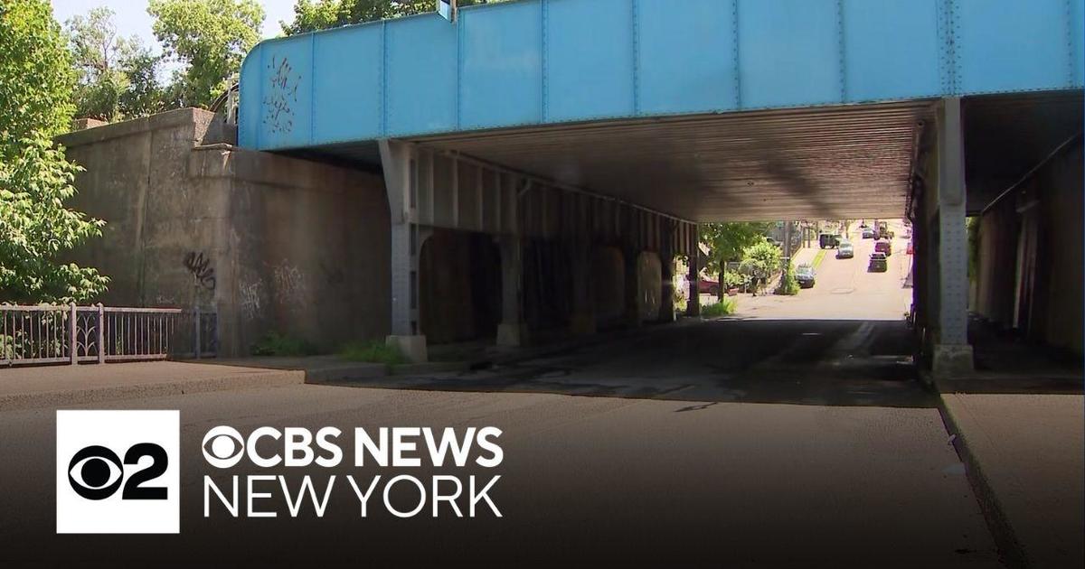 Dismembered Body Found in Yonkers Shopping Cart