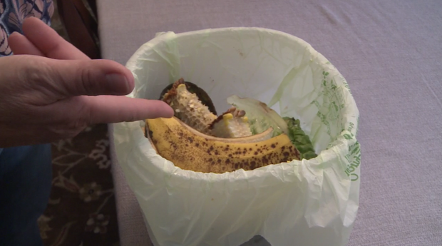 berwyn-composting-3.png