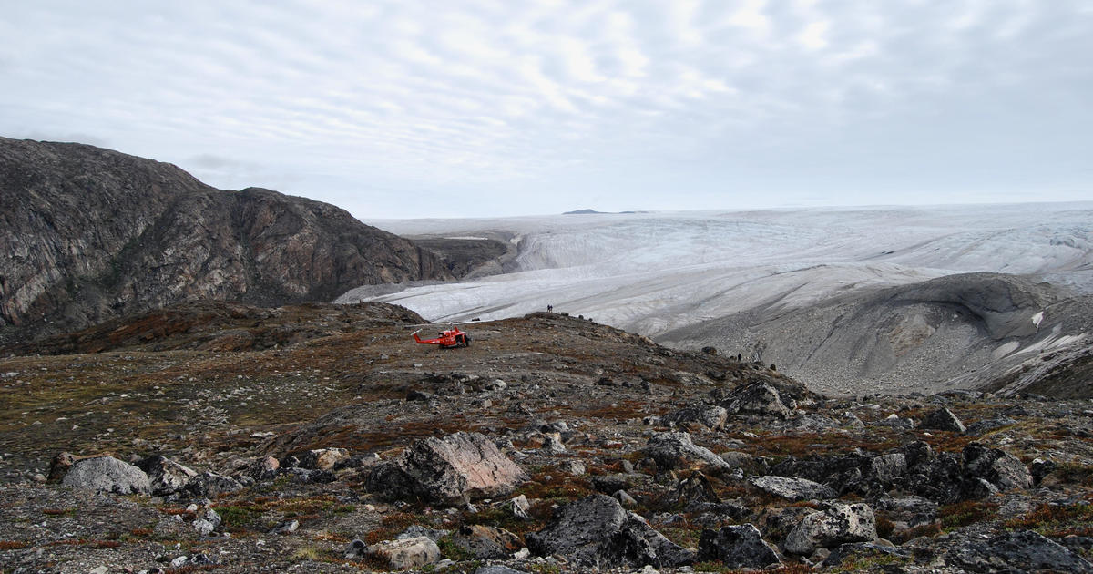 Fossil discovery in Greenland ice sheet unearths larger chance of sea point upward thrust