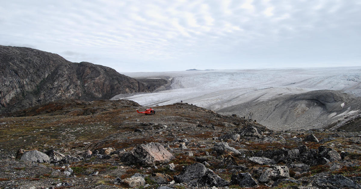 Fossil discovery in Greenland ice sheet reveals elevated danger of sea stage rise