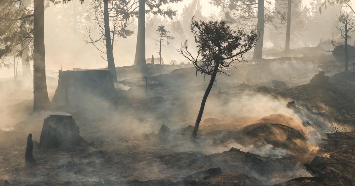 Park Fire still raging two weeks since it began