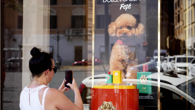 Italy Dog Perfume 