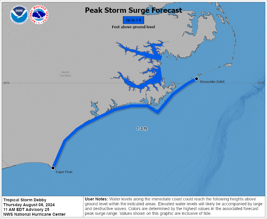 debby-peak-surge-aug-8.png 