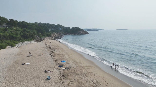 beach.jpg 