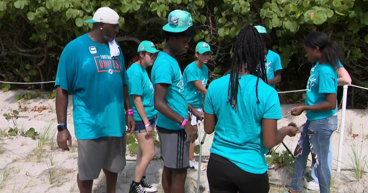South Florida students, Miami Dolphins plant sea oats at Dania Beach South Florida students, Miami Dolphins plant sea oats at Dania Beach