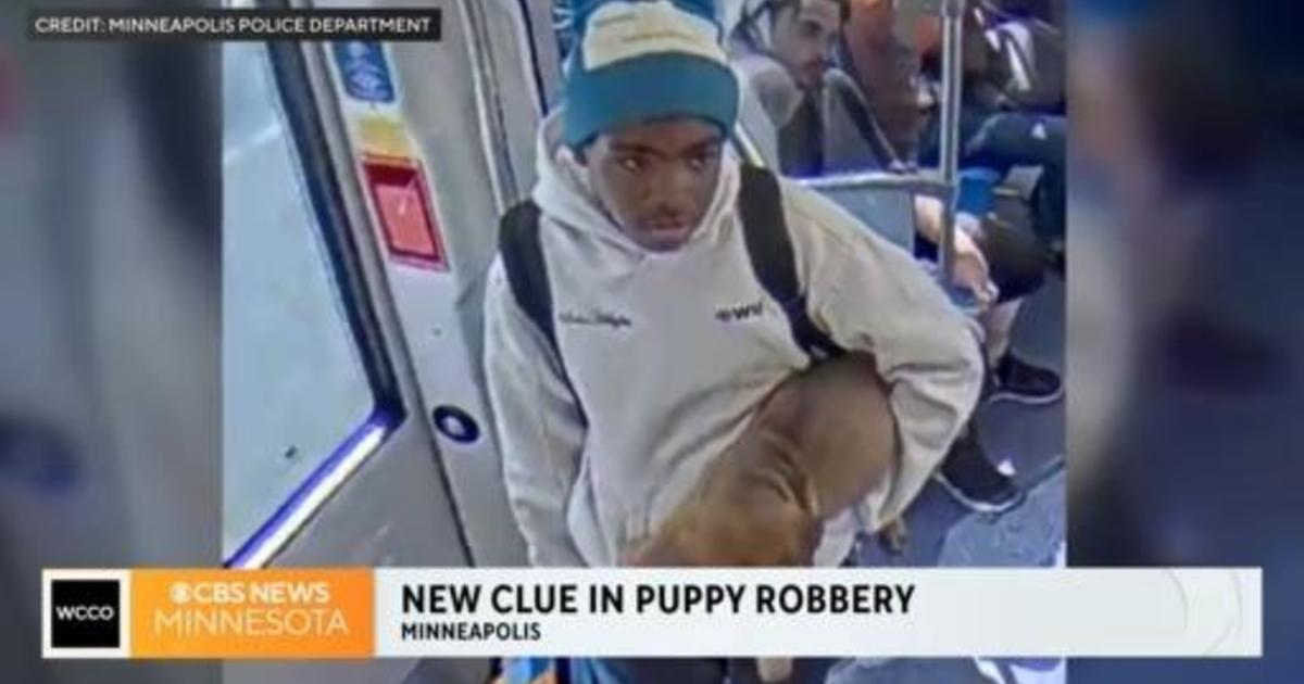 Stolen puppy spotted on LRT in Minneapolis