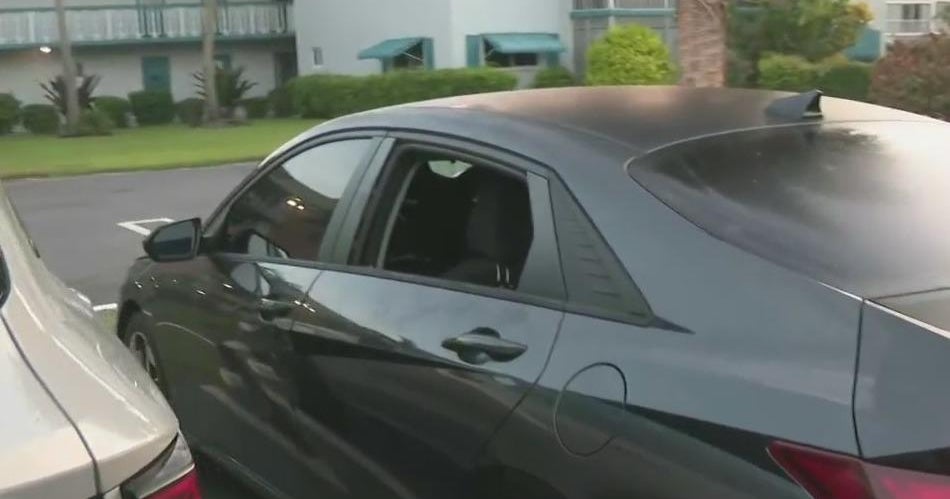 Multiple cars had windows smashed, items taken at Hollywood apartment complex Multiple cars had windows smashed, items taken at Hollywood apartment complex