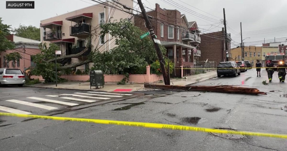 Cleanup continues across New York City after Debby’s remains toppled hundreds of trees across the city