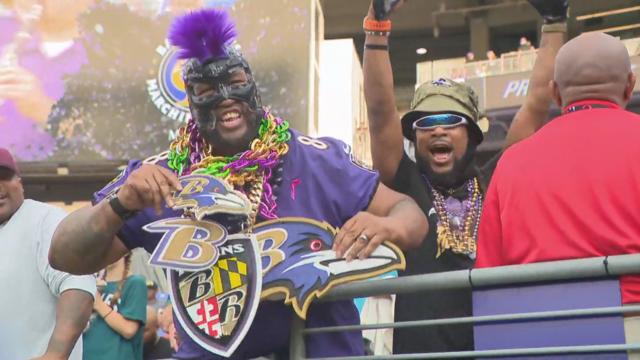 ravens-fan.png 