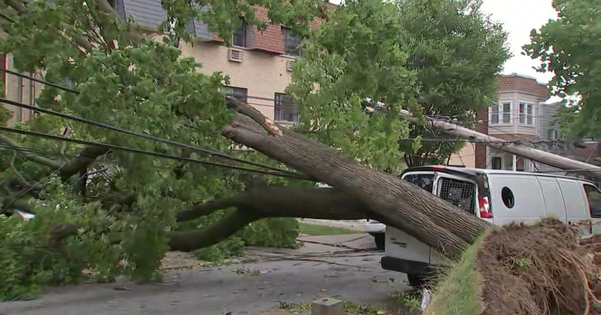 The remnants of Debby are knocking down trees and causing power outages across New York. Here’s a look at the damage.