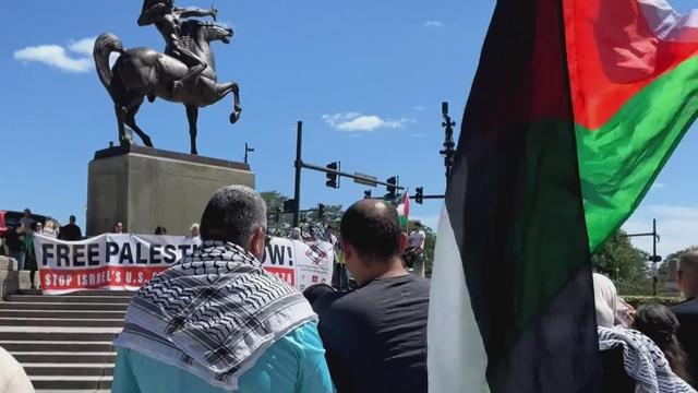 Pro-Palestine Protest Loop 