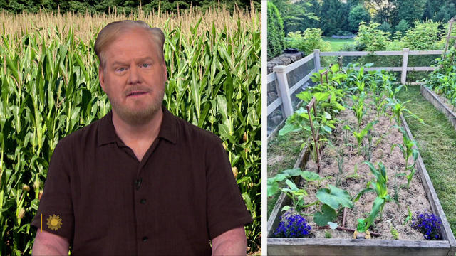 jim-gaffigan-corn-1920.jpg 