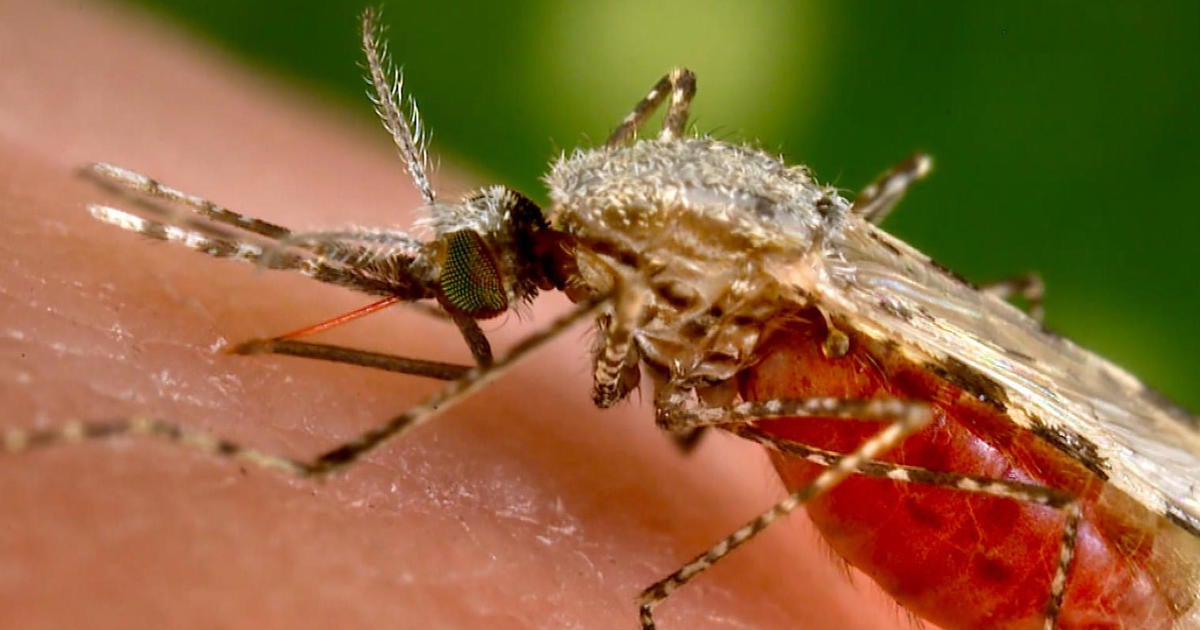 How New York City is dealing with longer mosquito seasons