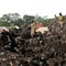 At least 18 dead after landfill site collapses in Uganda